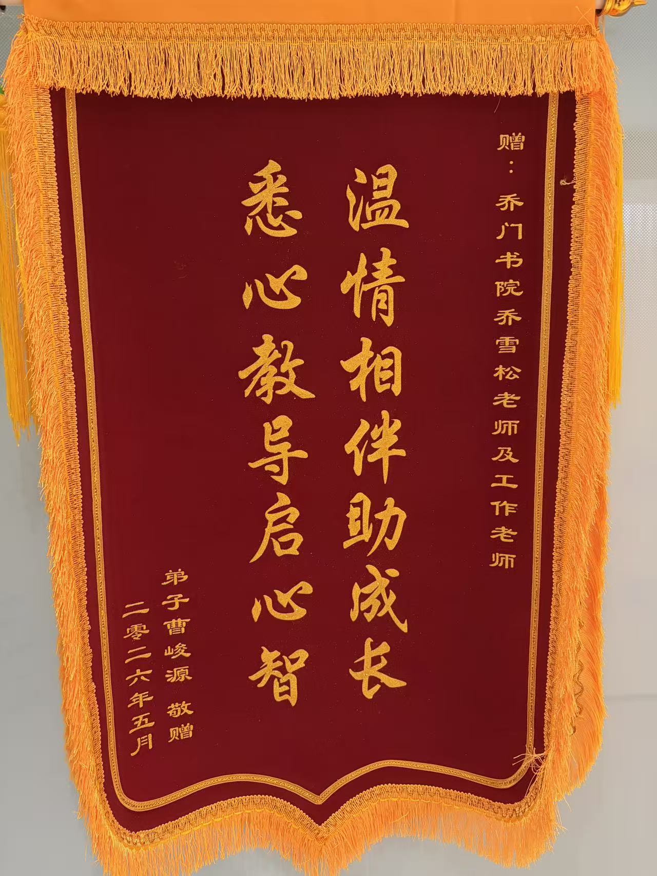 家长赠送锦旗 16